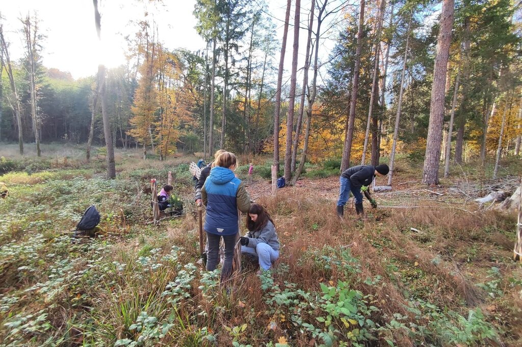Neue Wurzeln für die Zukunft – Pflanzaktion im RWG-Wald 2.0